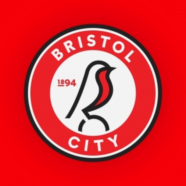 Bristol City vs Willem II at Ashton Gate Stadium