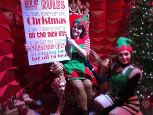 Elf Workshops @ The Galleries, Bristol