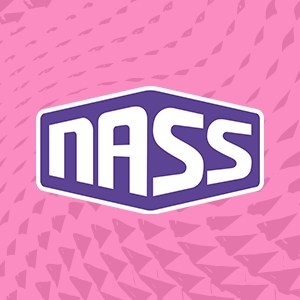 Nass Festival - The Bath and West Showground
