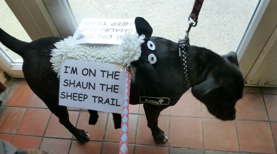 RSPCA Celebrity Interview with Anne on the Shaun in the City trail