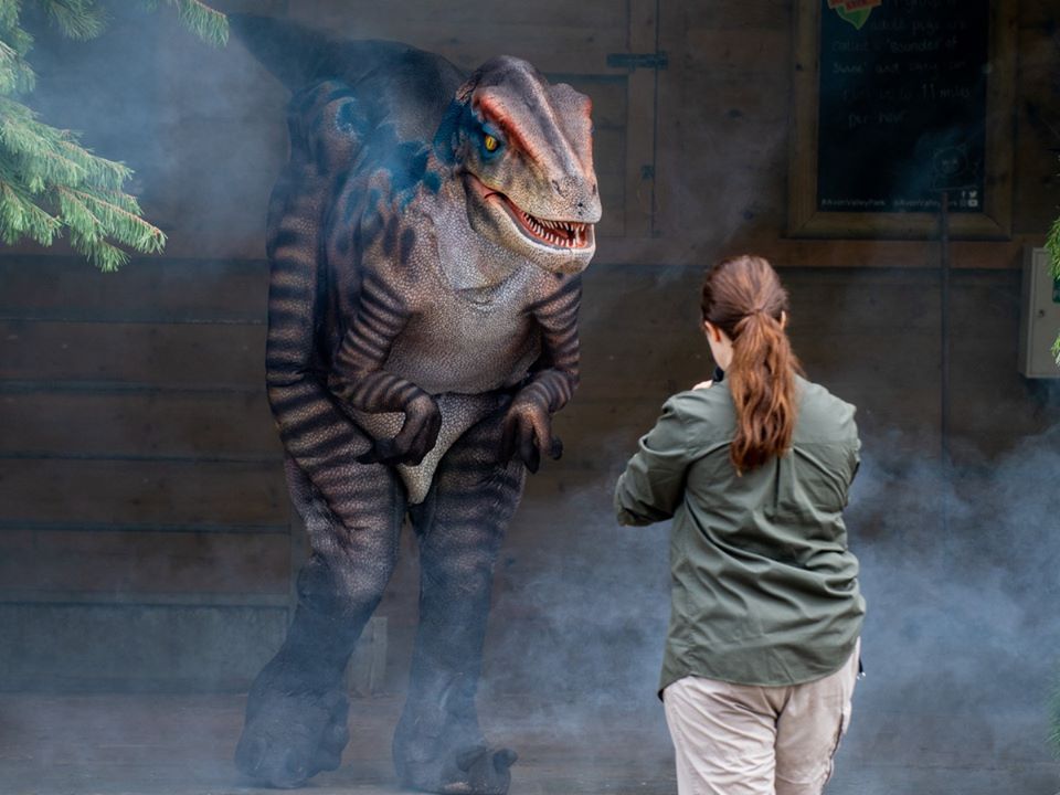 Camping with Dinosaurs at Avon Valley