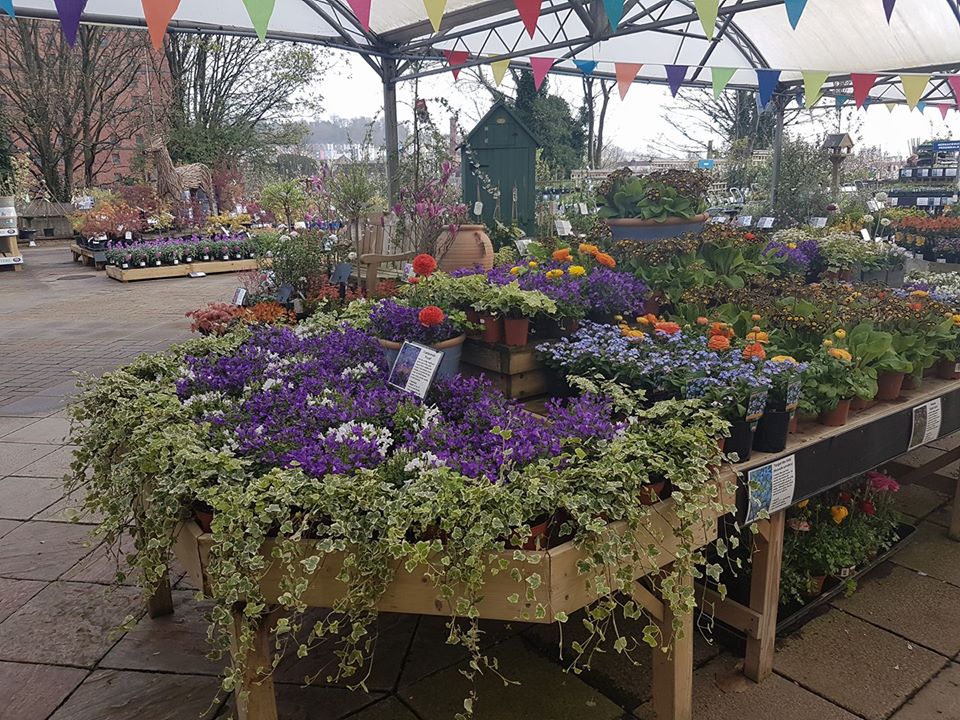 A List Of Bristol Garden Centres And When They Will Be Reopening
