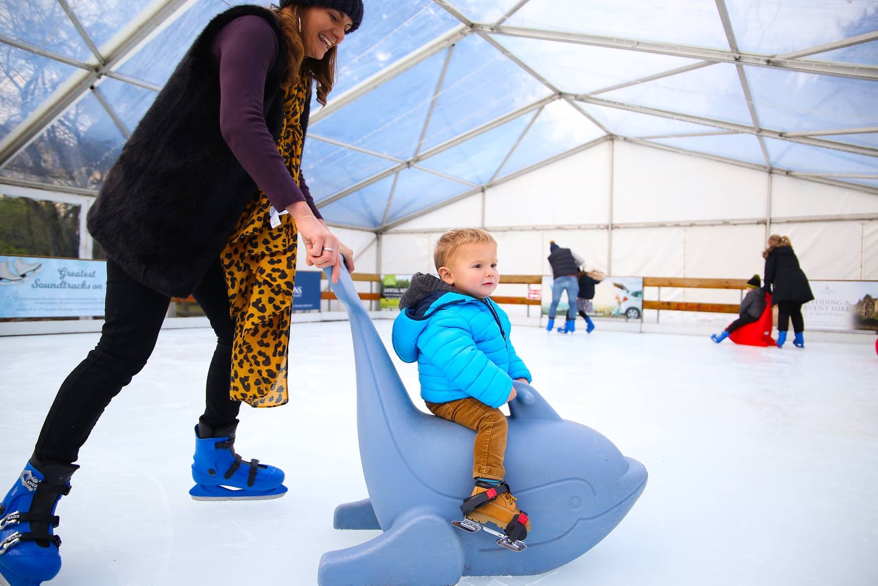 Old Down Country Park: Where to ice-skate this Christmas 