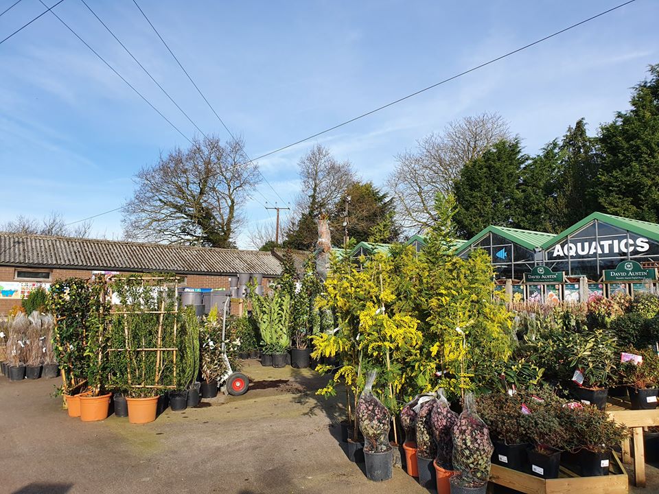 A List Of Bristol Garden Centres And When They Will Be Reopening