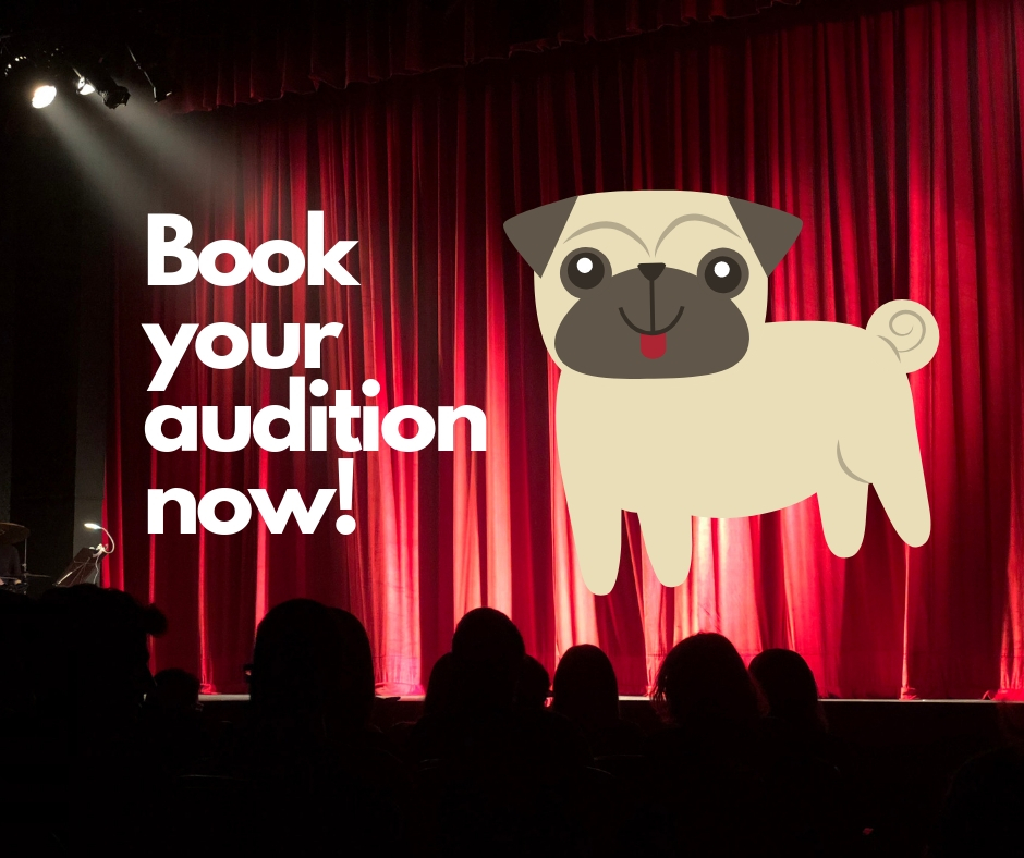 Is your dog destined for stardom? Audition them for the panto!
