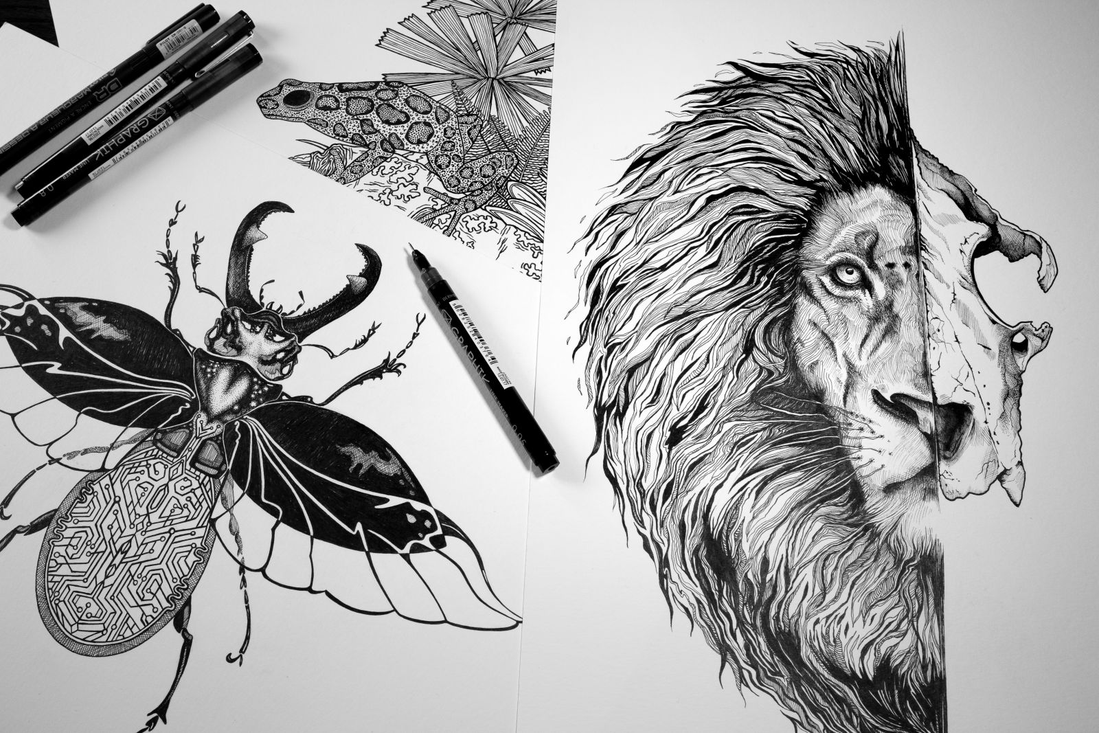 Emily’s intricate designs depict endangered species 