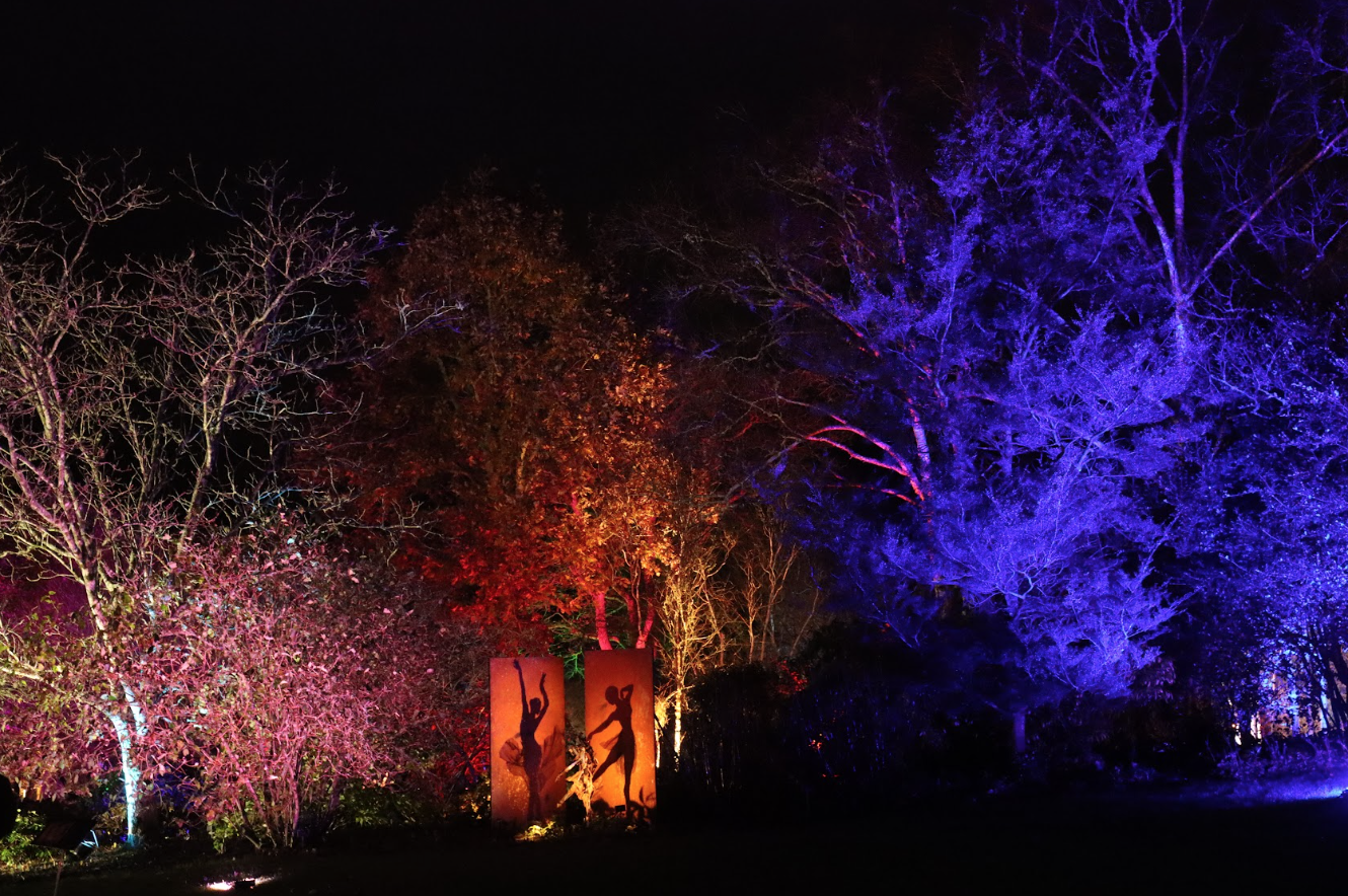 The Midnight Ballet by Will Budgett at Bristol Light Festival 2026