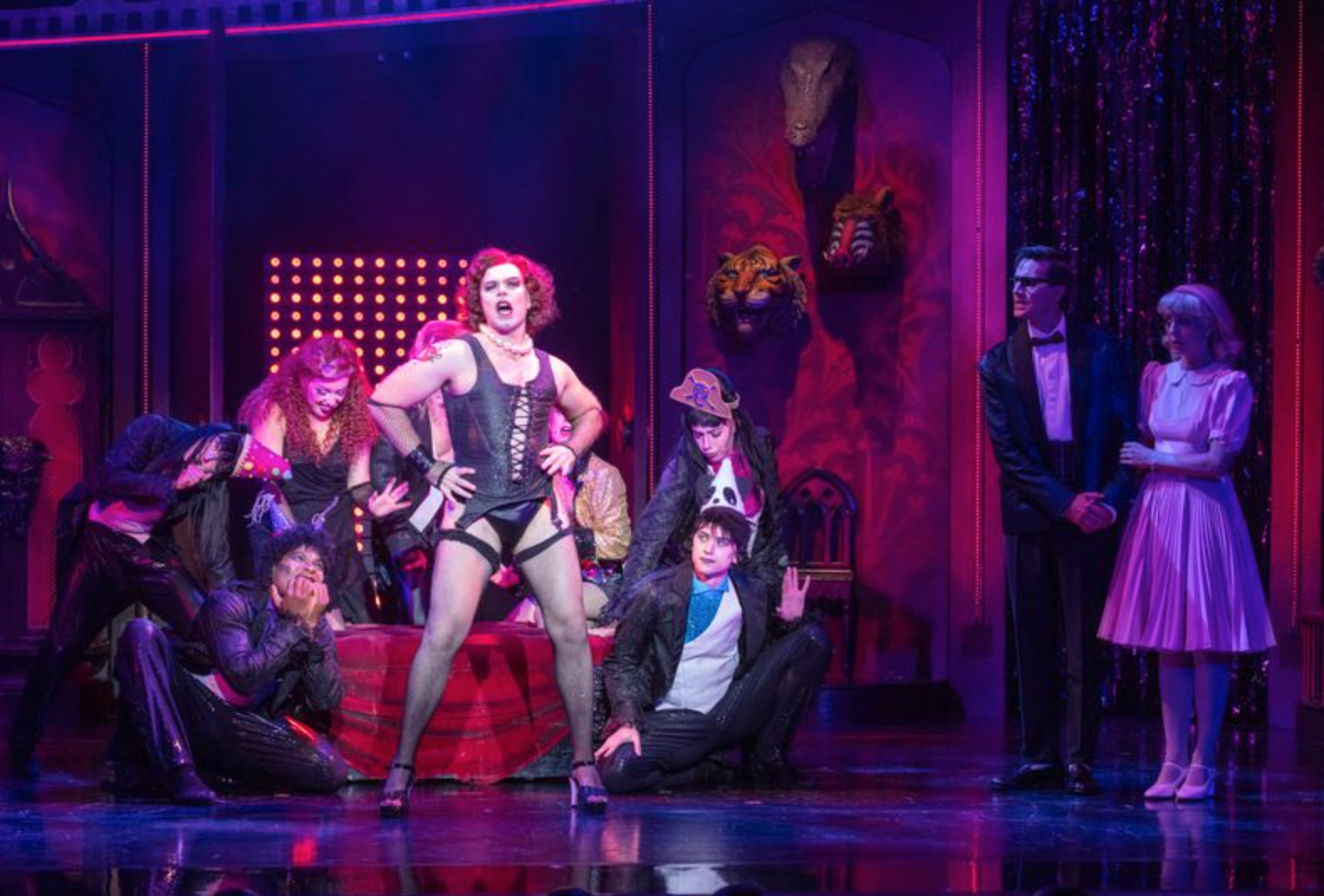 Stephen Webb as Frank-N-Furter in The Rocky Horror Show at The Bristol Hippodrome Stephen Webb as Frank-N-Furter in The Rocky Horror Show at The Bristol Hippodrome