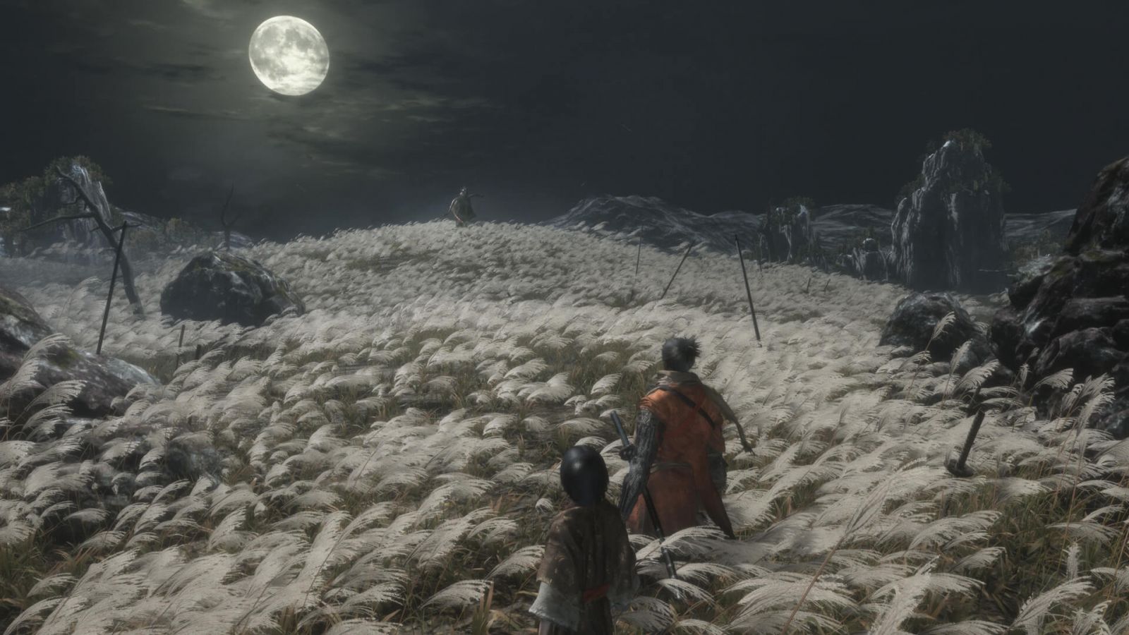 Sekiro: Shadows Die Twice on PS4.