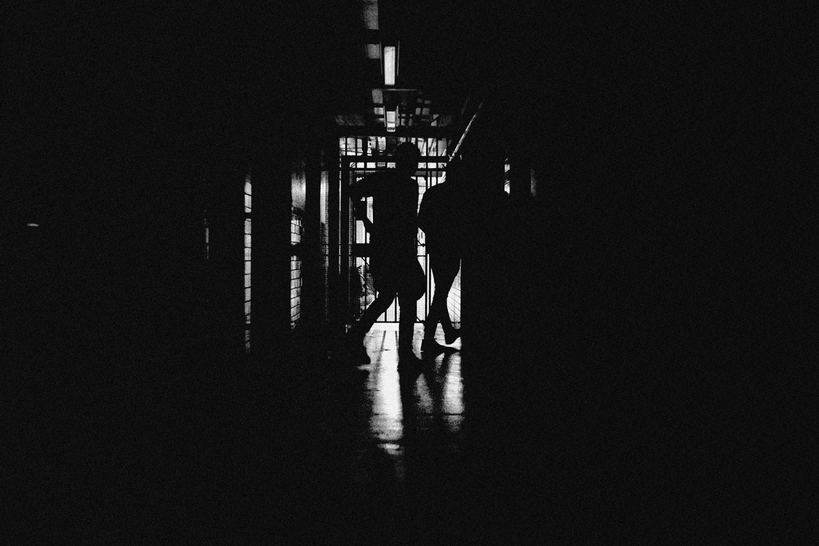 The Island. Photo: Alex Digard