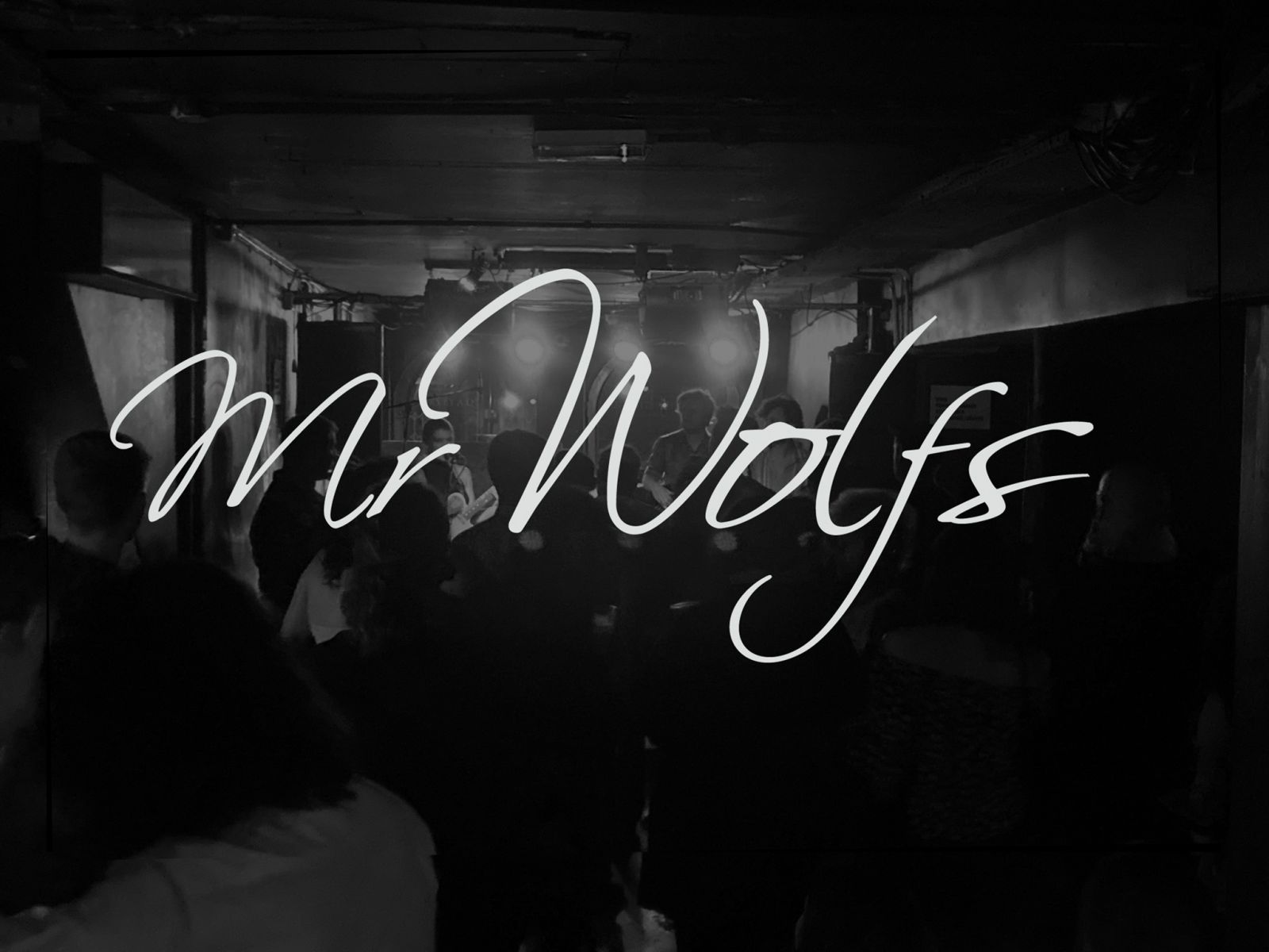 Mr Wolfs in Bristol