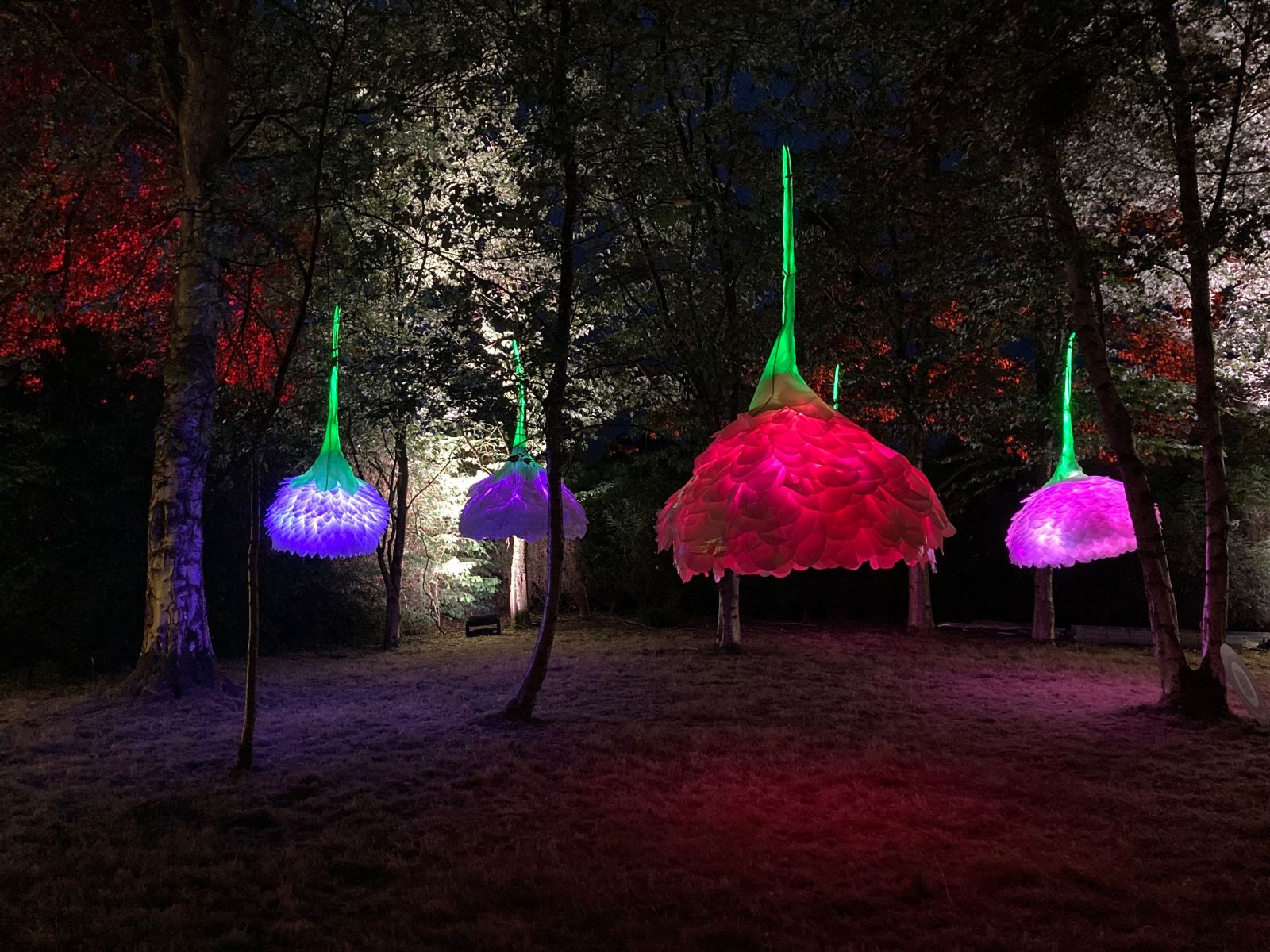 First installations announced for Bristol Light Festival 2024