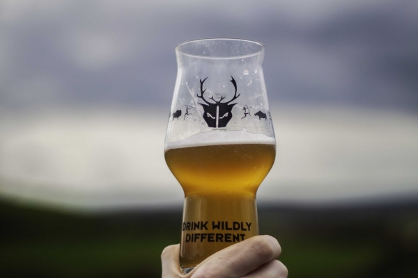 WIN a year's supply of beer with Wild Beer Co