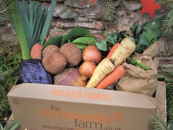 Support Caring in Bristol this Christmas with an order from The Community Farm