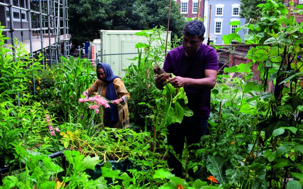 Bristol becomes the second UK city awarded Gold Sustainable Food City status