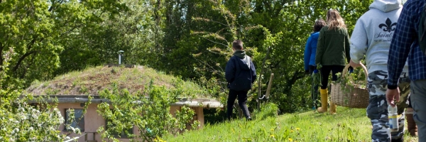 Plant trees with Heart of BS13 this February half term