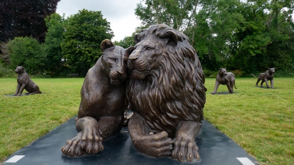 Born Free Forever Lions Unveiled on Bristol Downs