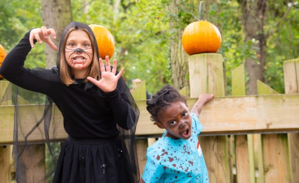 A special Halloween trail is coming to the Wild Place Project
