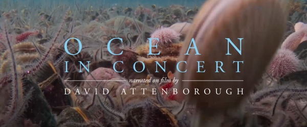 Ocean in Concert at The Bristol Beacon with The Welsh National Opera Orchestra