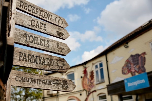 Windmill Hill City Farm 50th Anniversary Fayre on 12 September 2026