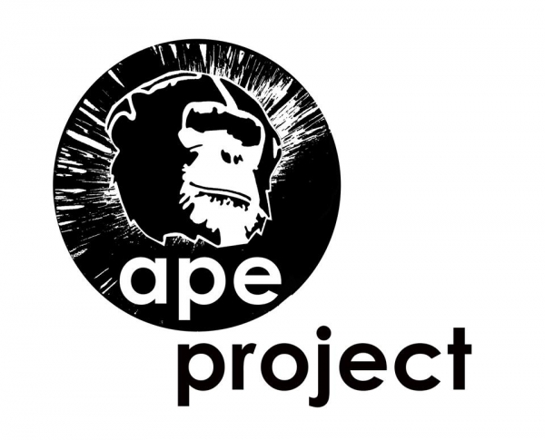 APE Project CIC in Bristol: recreational play and activity providers for children 