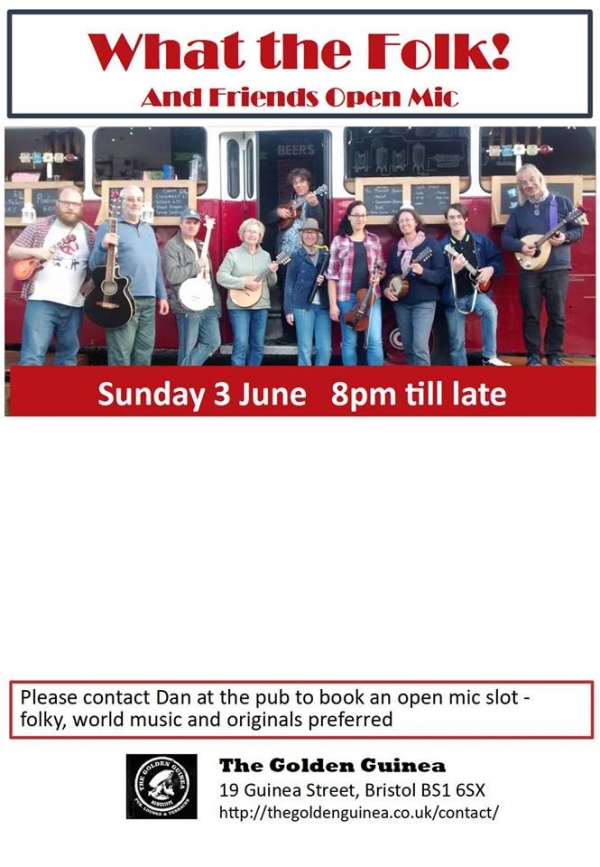 Open Mic Night at The Golden Guinea Sunday 3rd June