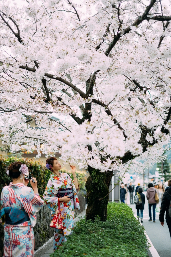 Japan at Bristol & Art Gallery on April 2019