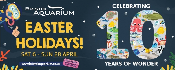 Celebrating 10 years of Wonder at Bristol Aquarium from Saturday 6th until Sunday 28th April 2019
