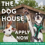 BAFTA nominated series want Bristolians who can offer a home to a rescue dog