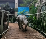 Dinosaurs will be roaming the halls of Bristol Aquarium this Easter break