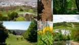 It’s a good Saturday to go to the park – here’s some of Bristol’s best green spaces